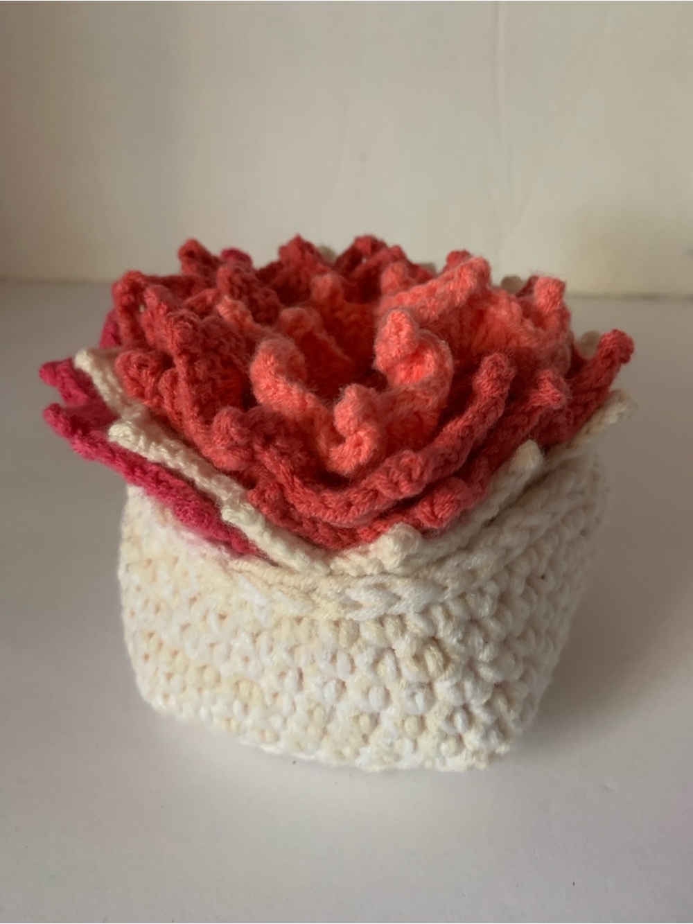 Handmade Crochet Succulent Decor Coasters
